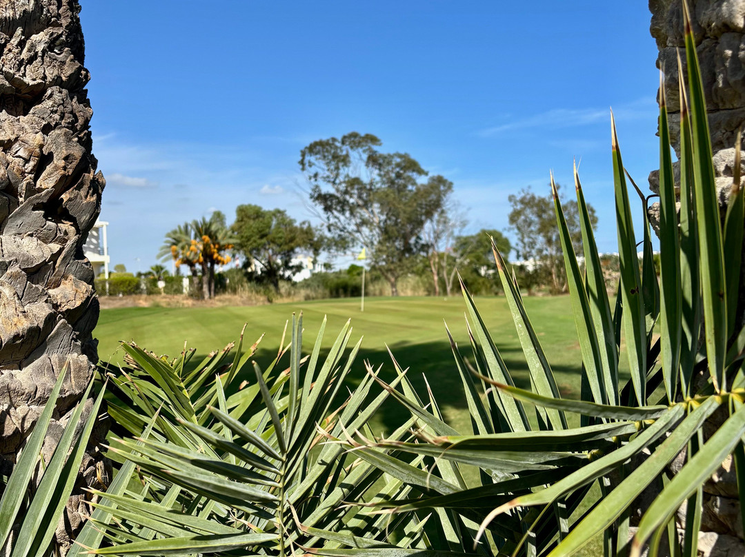 Palm Links Golf Course-摩纳斯特必去景点