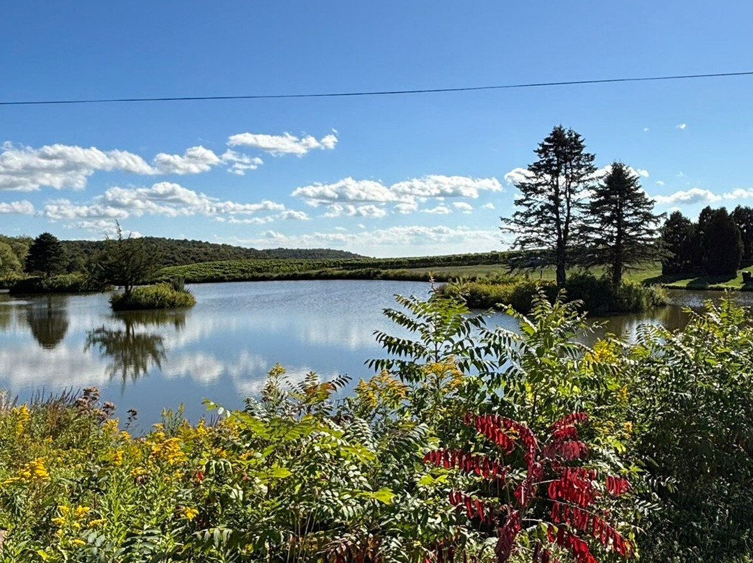 Millbrook Vineyards & Winery-Millbrook必去景点