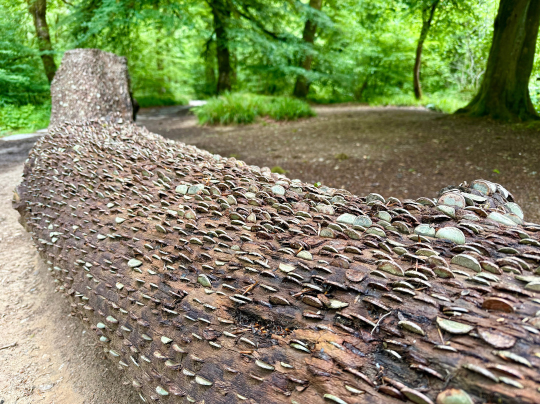 The Tarr Steps Money Tree-Dulverton必去景点