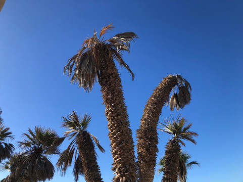 沙滩度假村主图