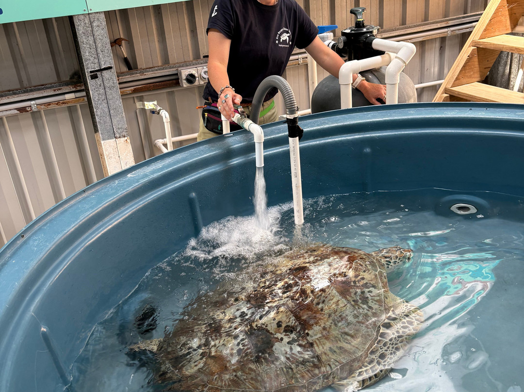 Eco Barge Clean Seas-Jubilee Pocket必去景点