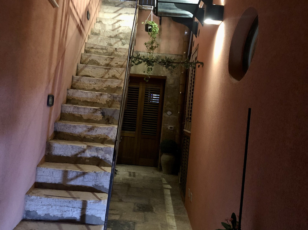 Il Cortile Fiorito srl主图