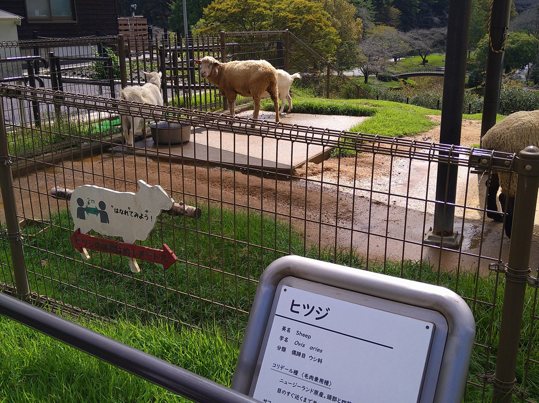 Hamamatsu Zoo logical Garden-滨松市必去景点