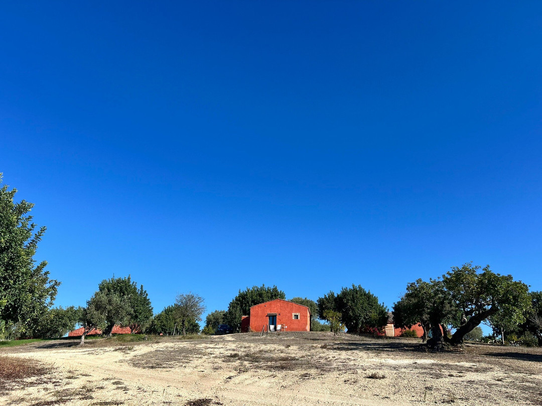 Planeta, Tenuta Buonivini - Noto-诺托必去景点