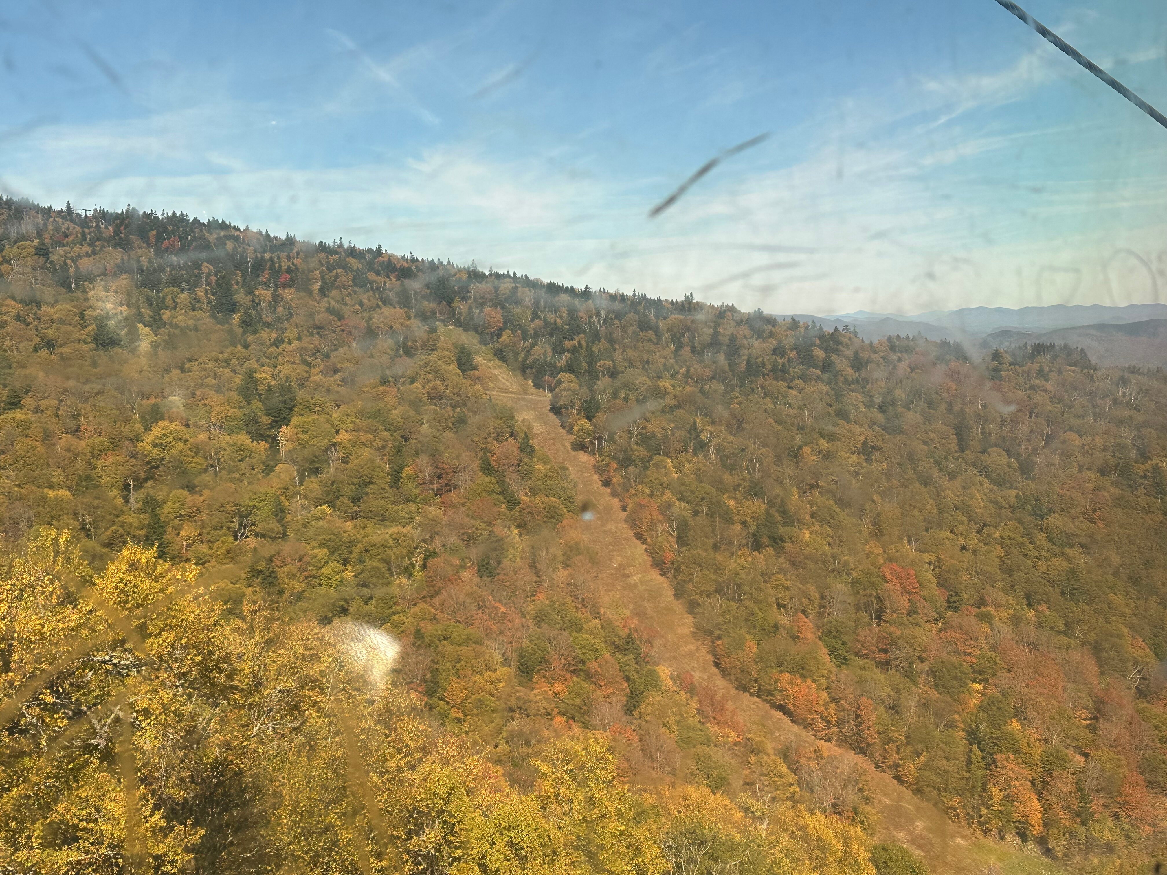 基林顿豪华度假酒店-官方