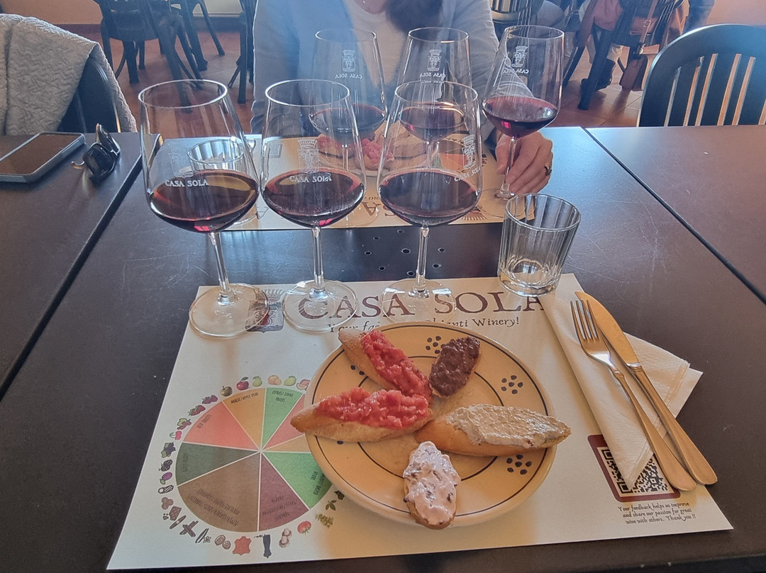 Casa Sola Chianti Winery-巴尔贝里诺瓦尔德尔萨必去景点