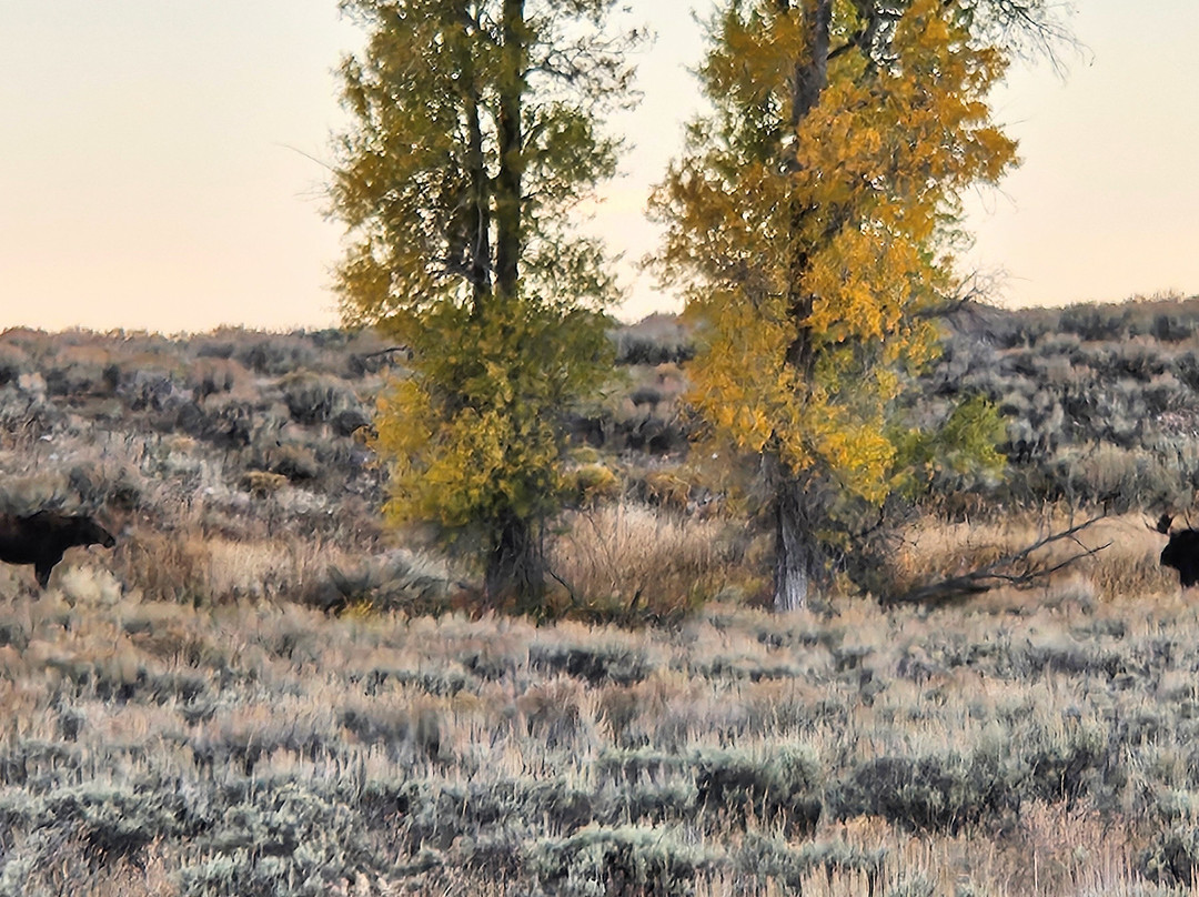 The Hole Hiking Experience-杰克逊必去景点
