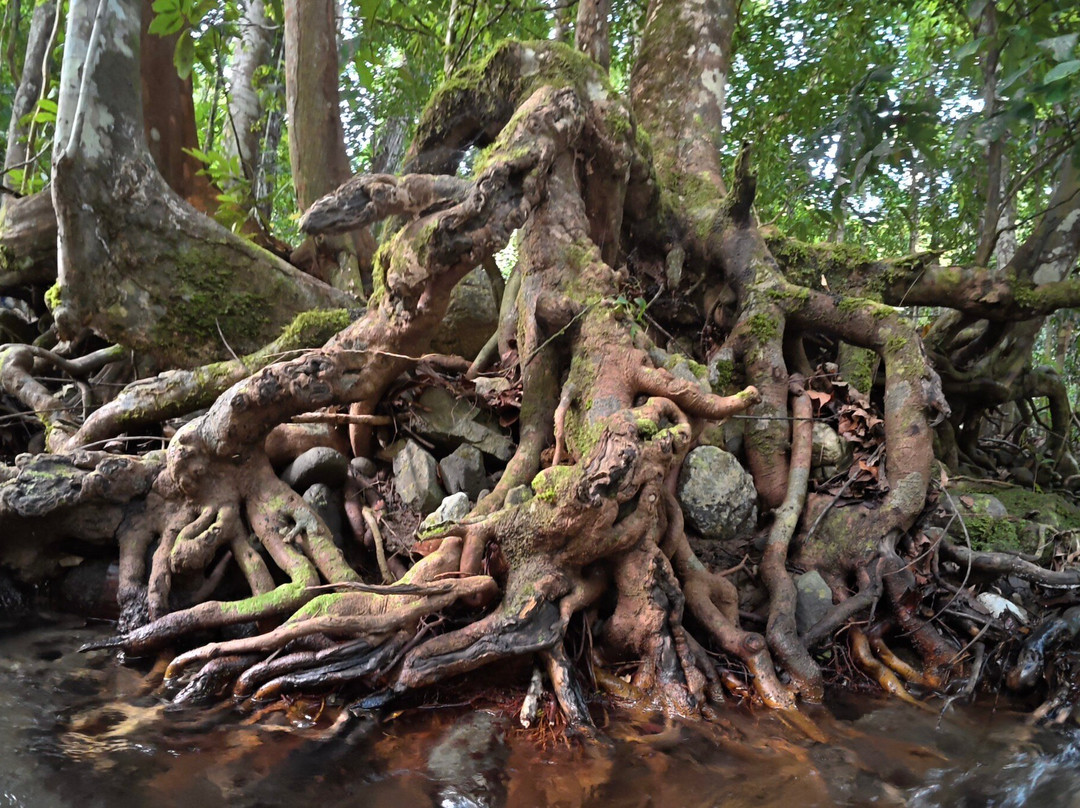 Kalawai Adventure-Waigeo Island必去景点