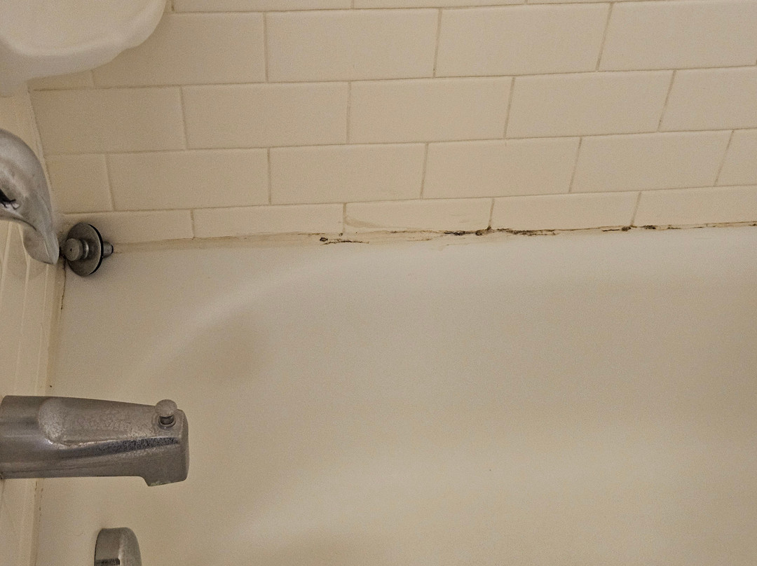 Fairfield by Marriott Inn & Suites Jacksonville West/Chaffee Point主图