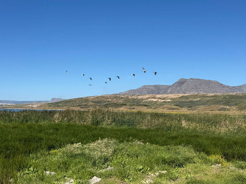 People Like Us Safaris-开普敦中心区必去景点