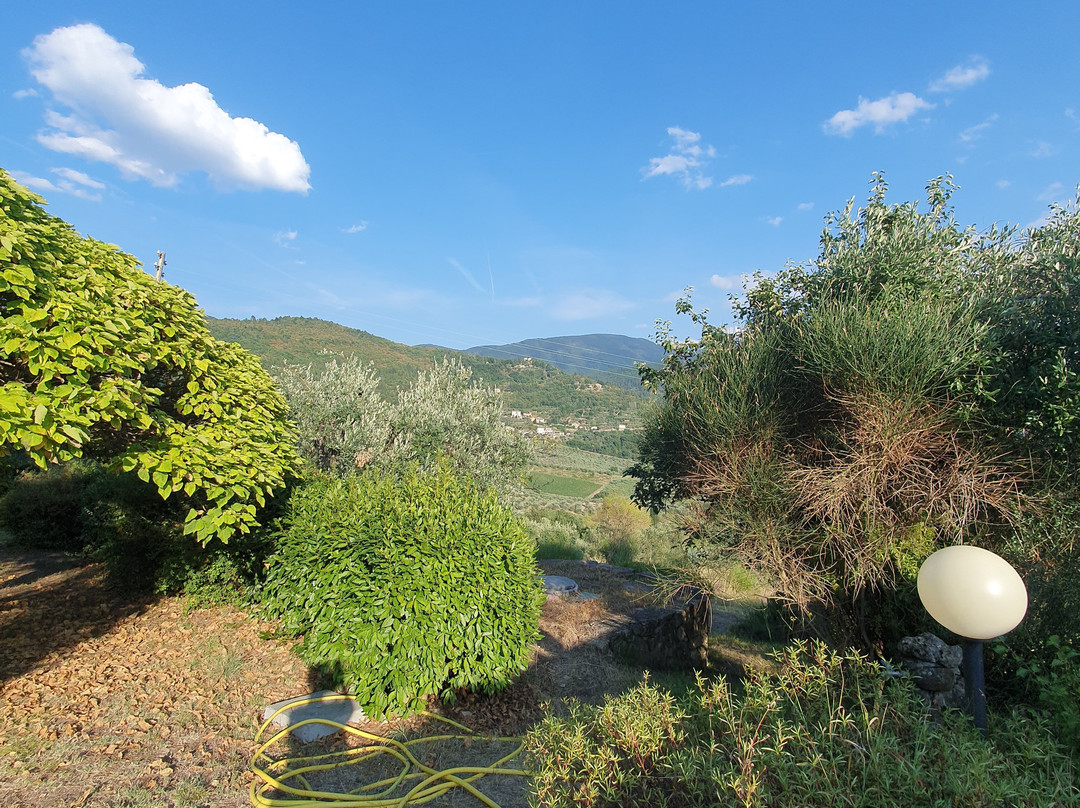 Agriturismo La Fornella Dell'Anita主图