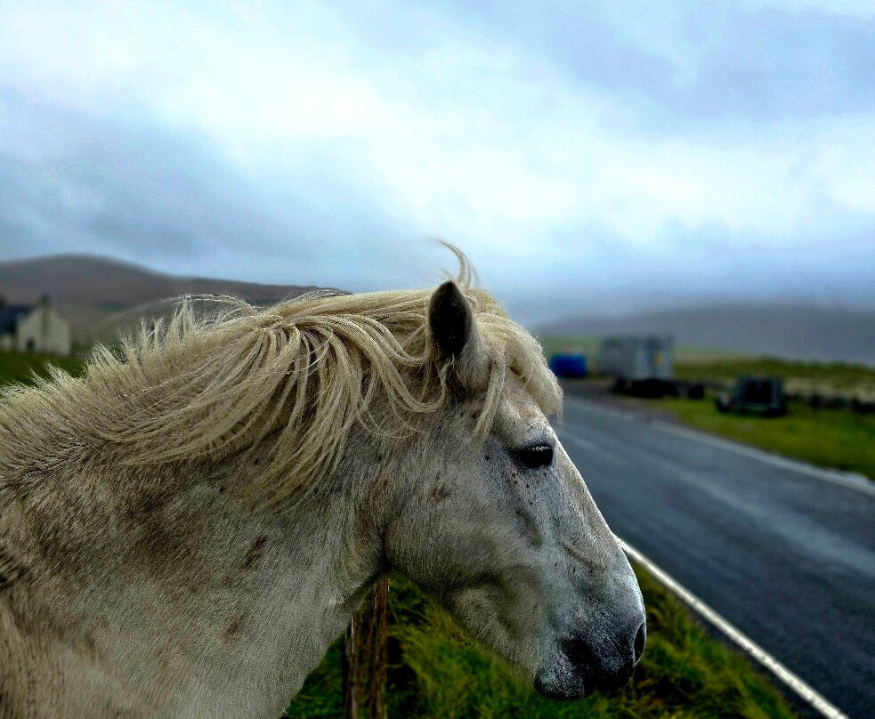 Isle of Barra-The Hebrides必去景点