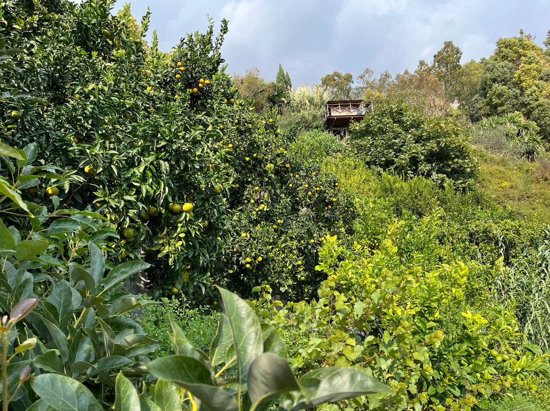 Maison Gannac-芒通必去景点