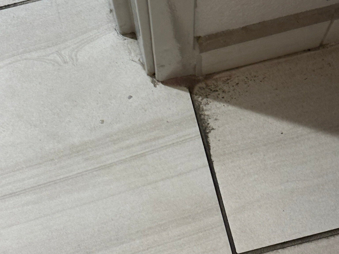 Holiday Inn Express & Suites Gulf Shores By IHG主图