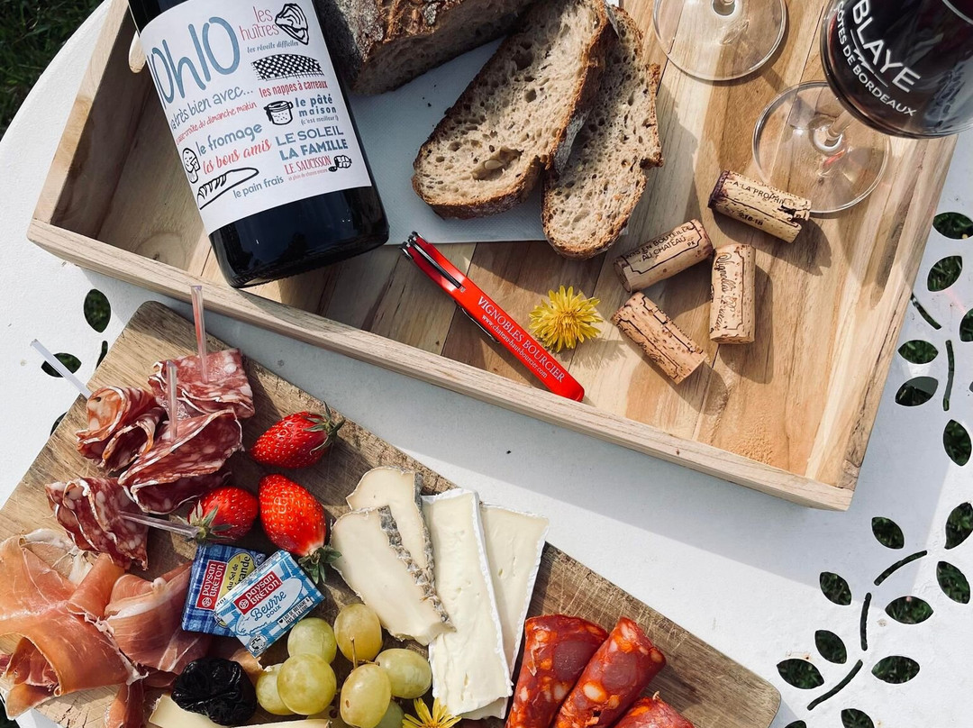 Chateau Haut-Bourcier-Saint-Androny必去景点