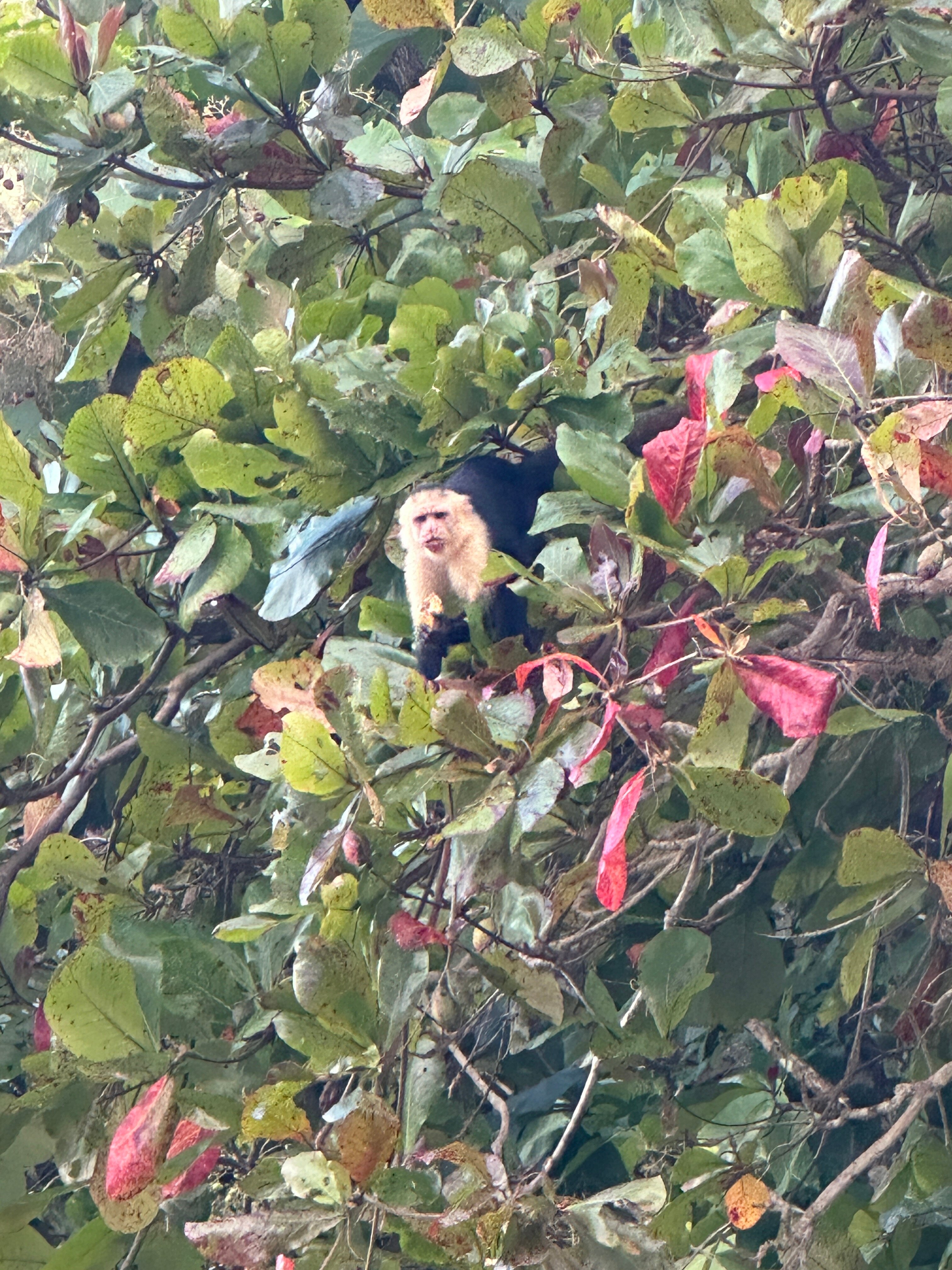 Shana By The Beach-泳池