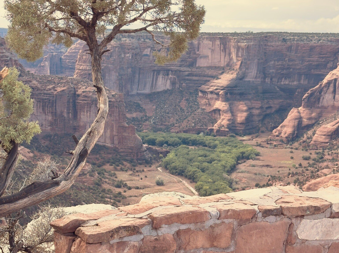 South Rim Drive-Chinle必去景点