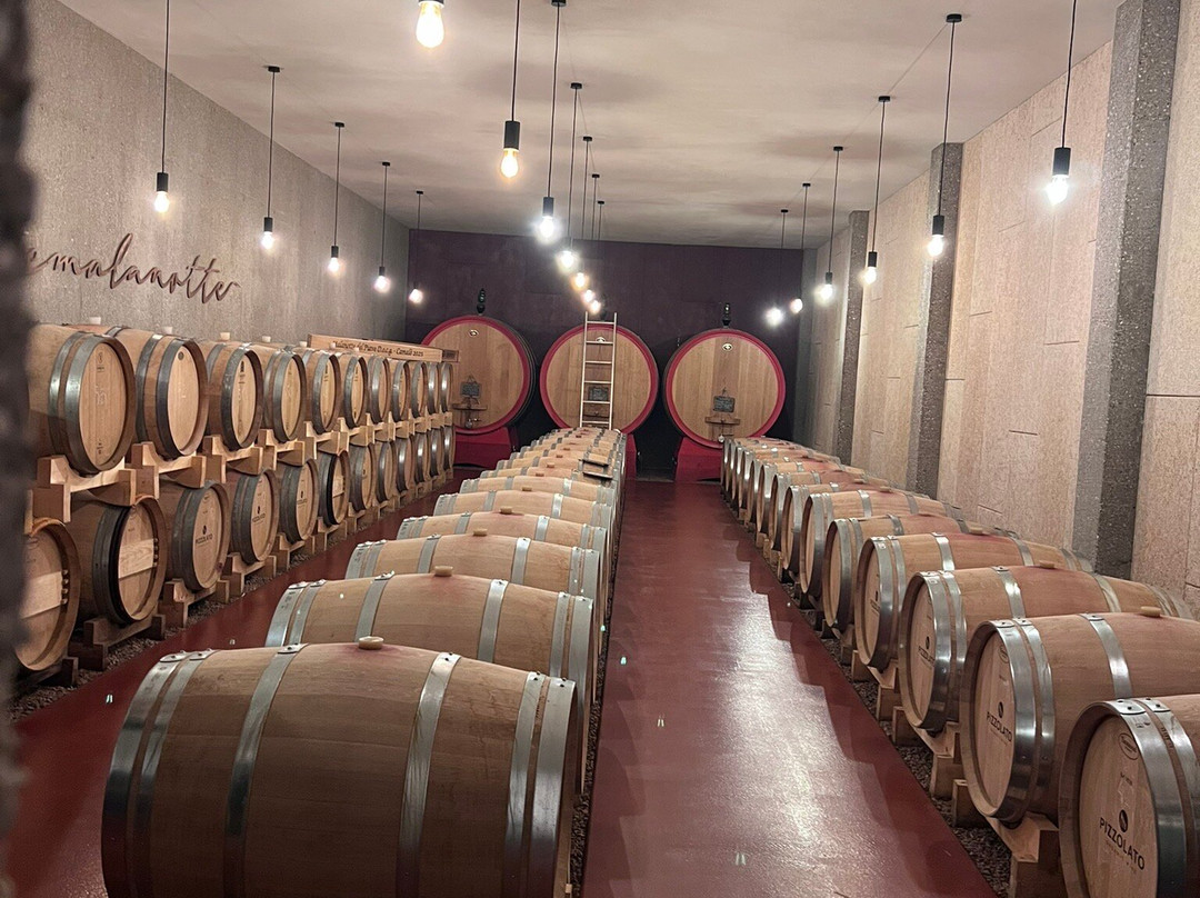 Cantina Pizzolato Società Benefit - Organic Wine Experience-维洛尔巴必去景点