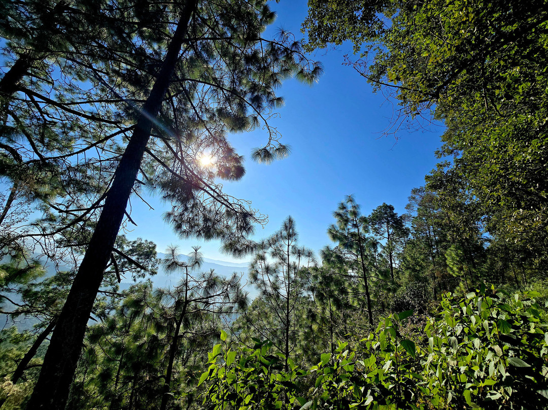 Binsar Wildlife Sanctuary-Binsar必去景点