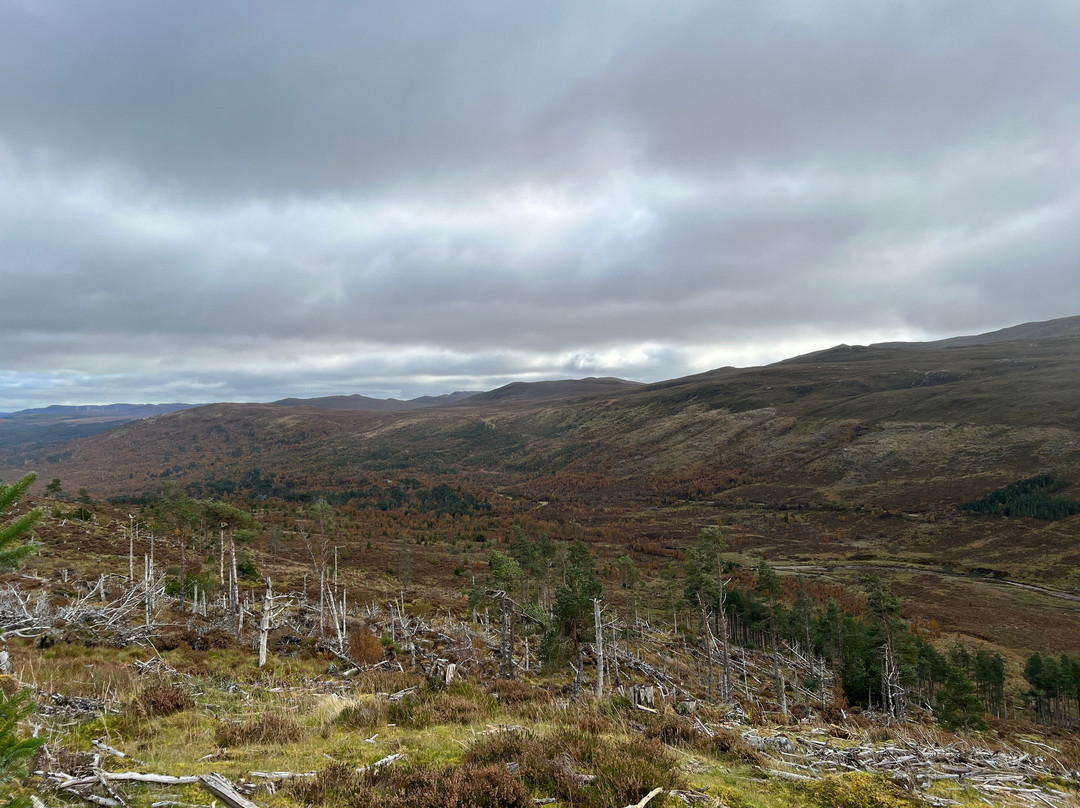 Highland Trekking and Trail Riding-Cannich必去景点
