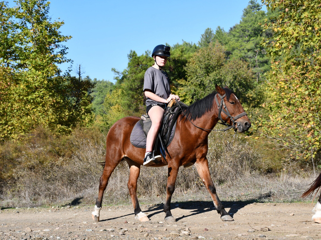 Pinar Horse Safari-马尔马里斯必去景点