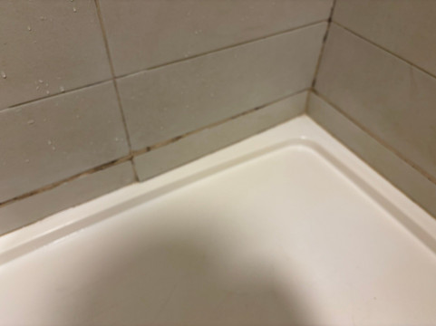 怀特女士酒店主图