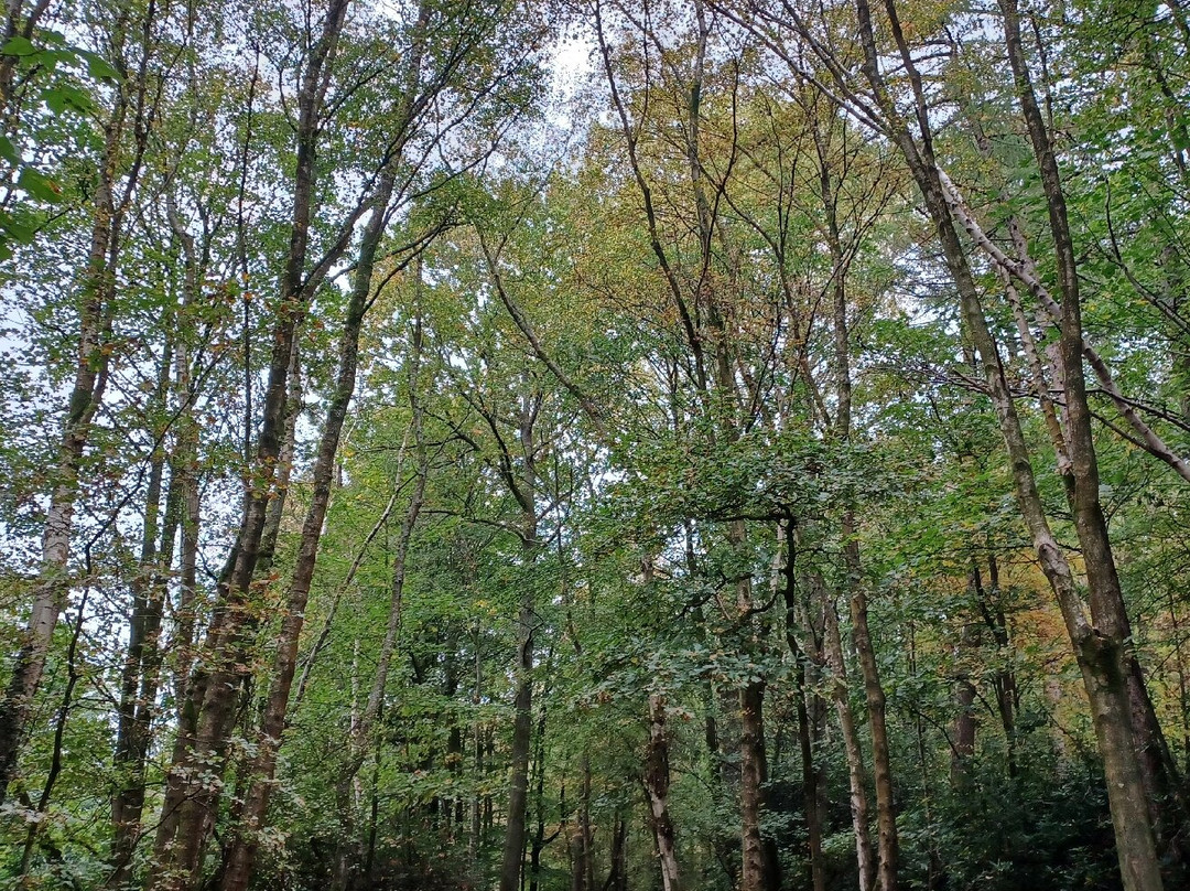 Cuerden Valley Park-普雷斯顿必去景点