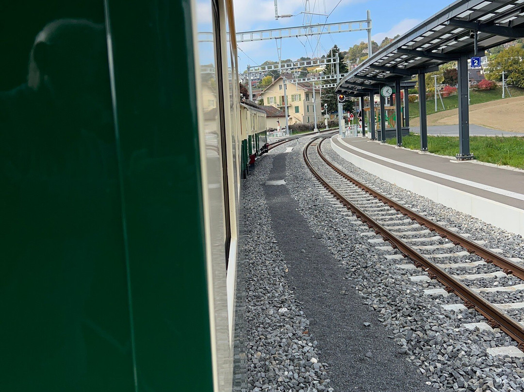 Le train rétro BAM - La Voie des Sens-莫尔日必去景点