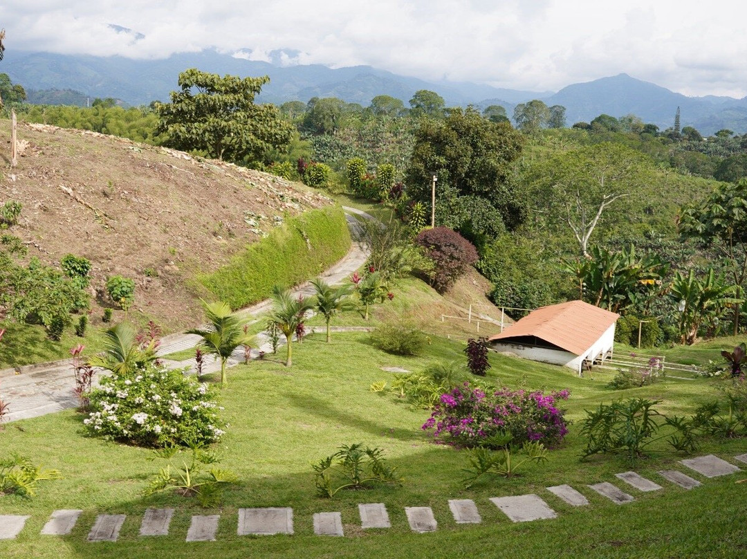 Finca Las Palmitas - Quindio-亚美尼亚必去景点