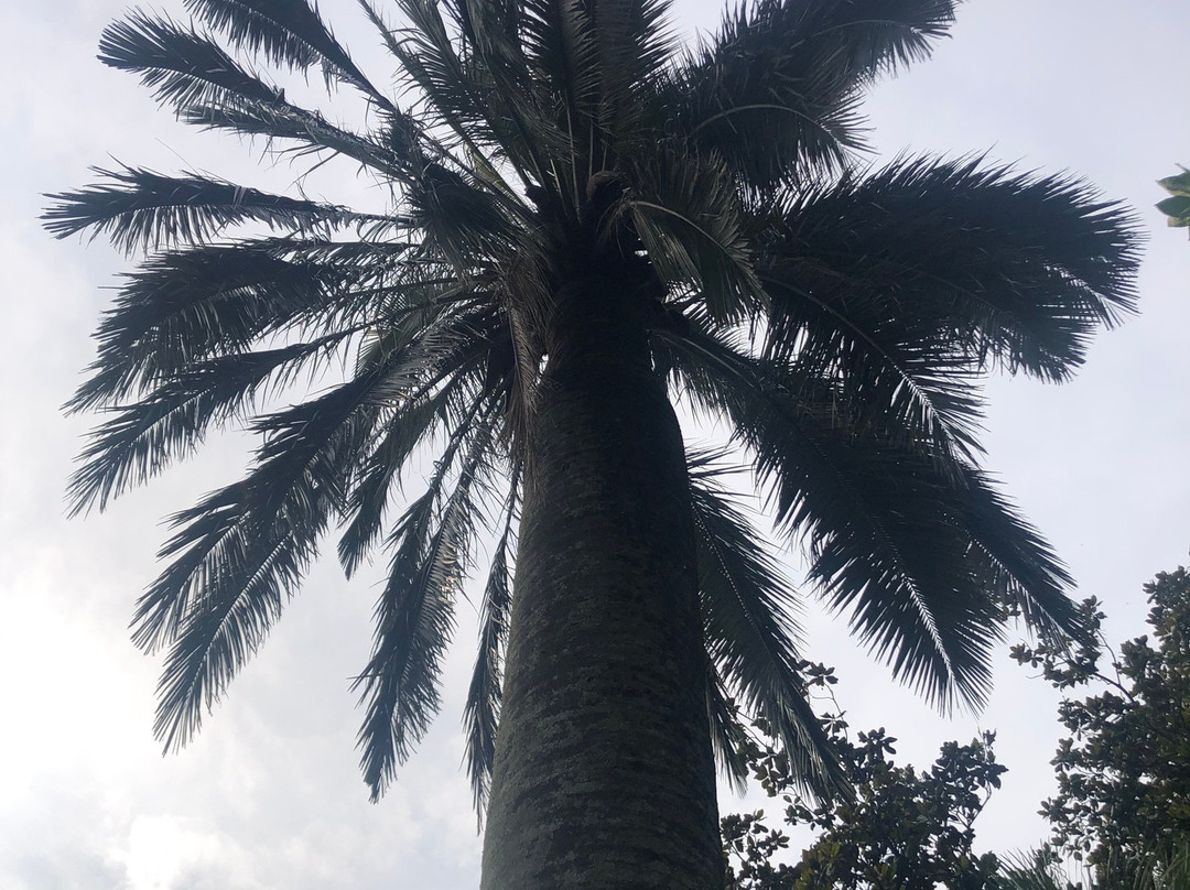 Il Giardino Botanico-瓦伦纳必去景点