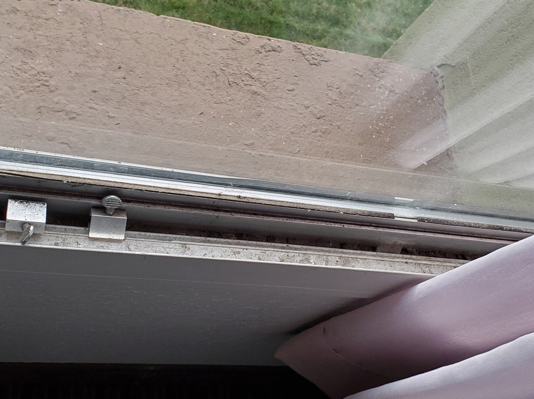 Best Western Tomah Hotel主图