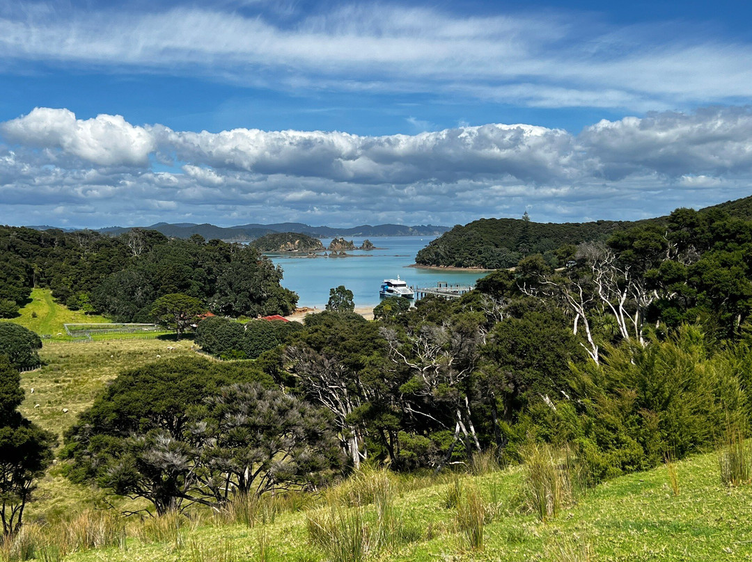 Urupukapuka Island-派希亚必去景点