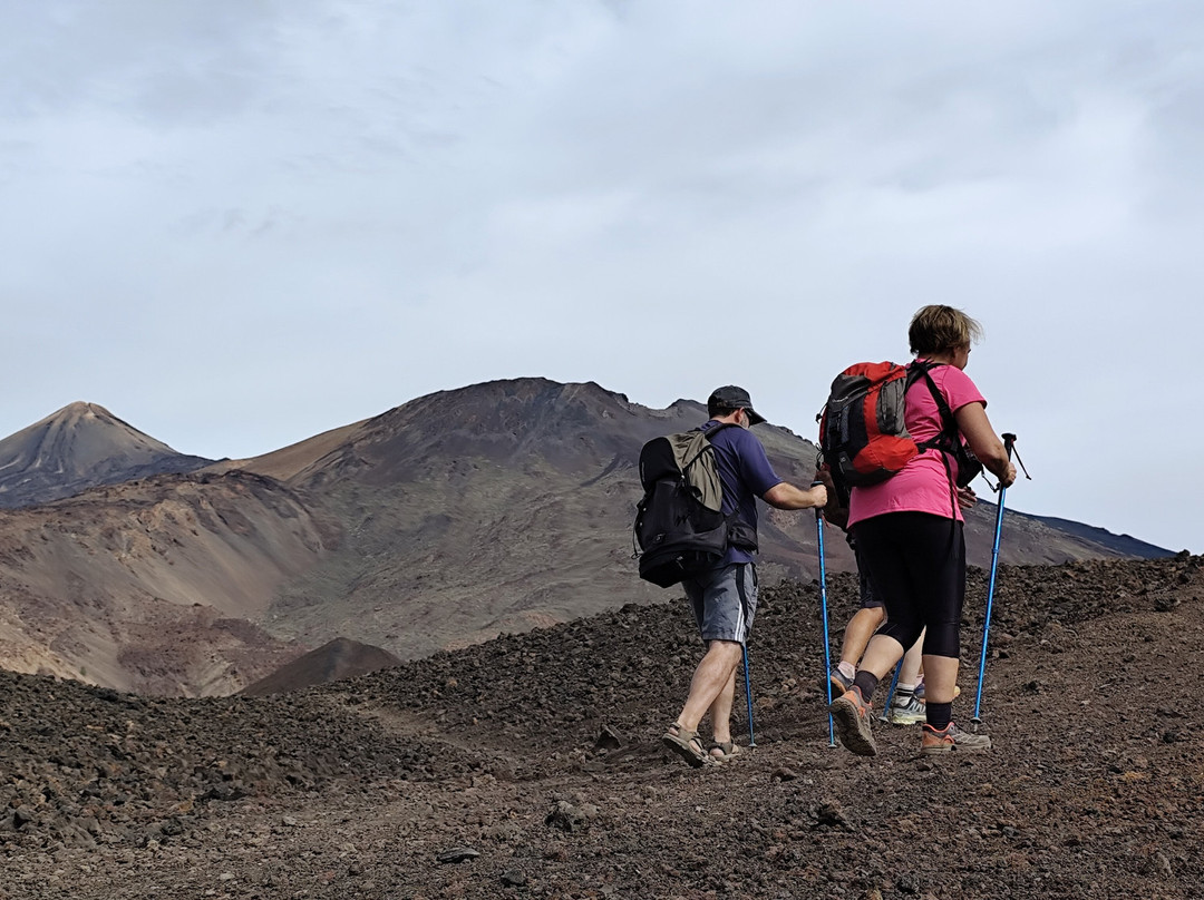 Canarias Nature Guides-Tegueste必去景点