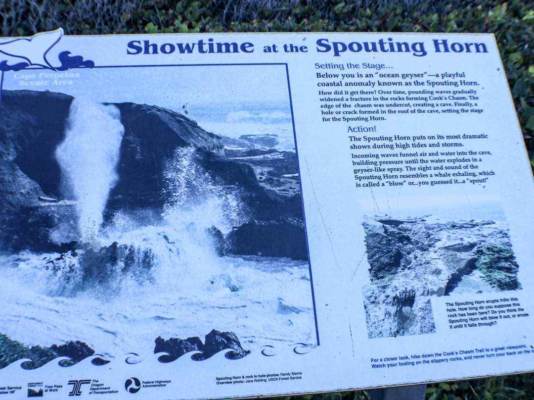 Thor's Well-亚查茨必去景点