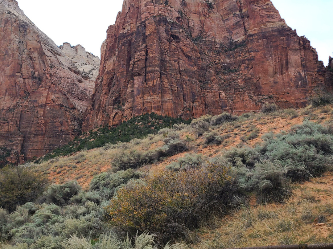 Canyon Trail Rides-锡安国家公园必去景点