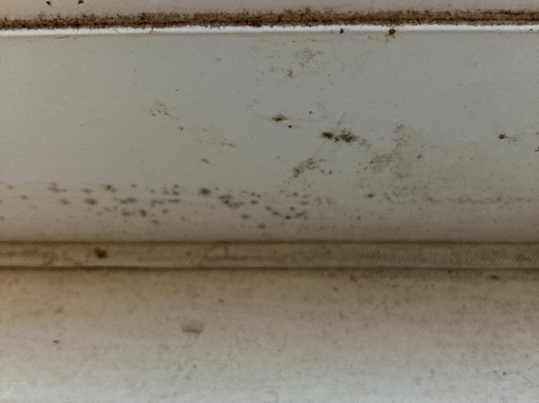 Harbour View Bed and Breakfast主图