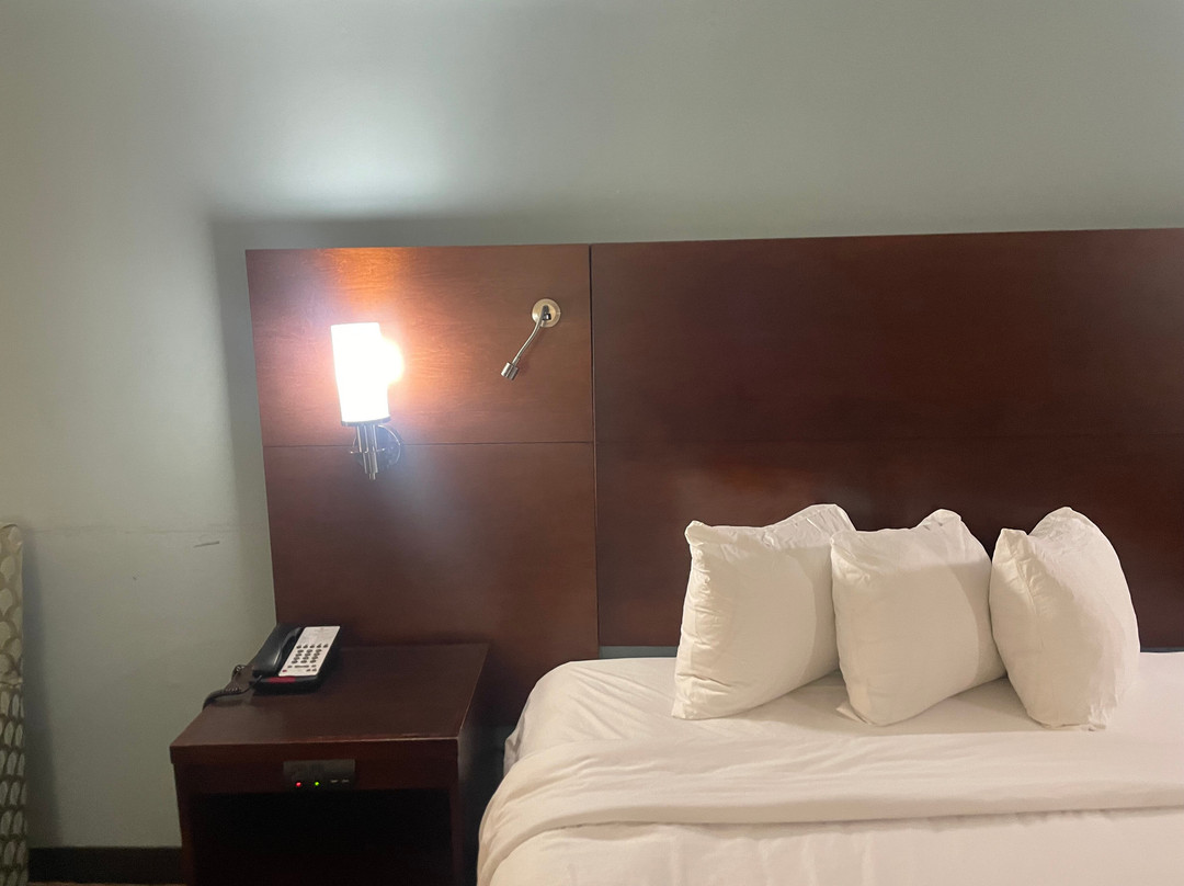 达勒姆千禧大酒店主图