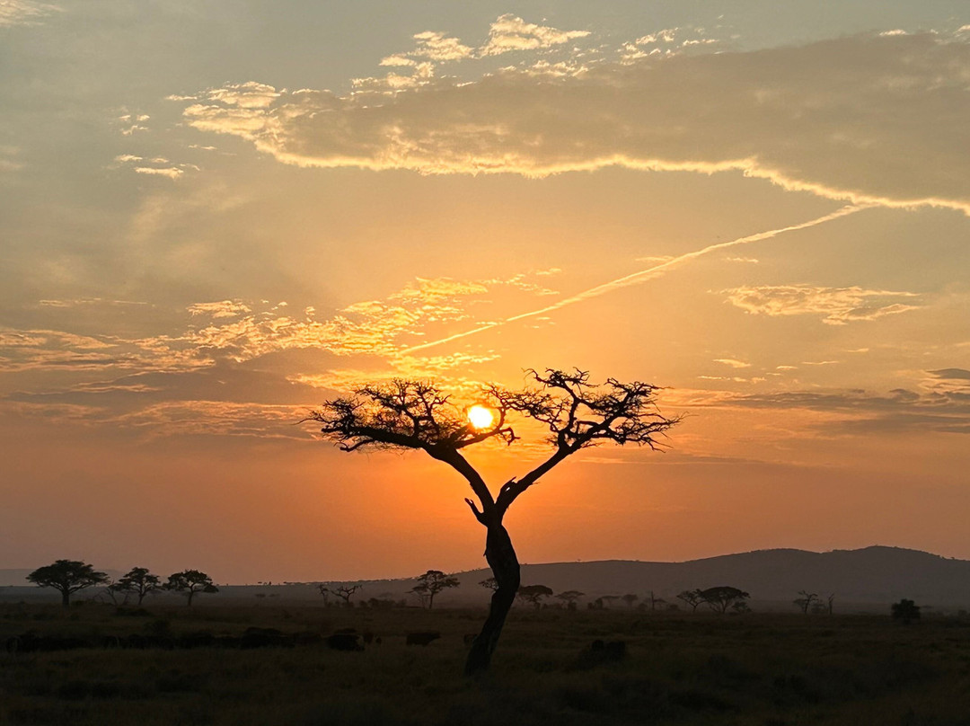 Golden Dream Safaris-阿鲁沙必去景点