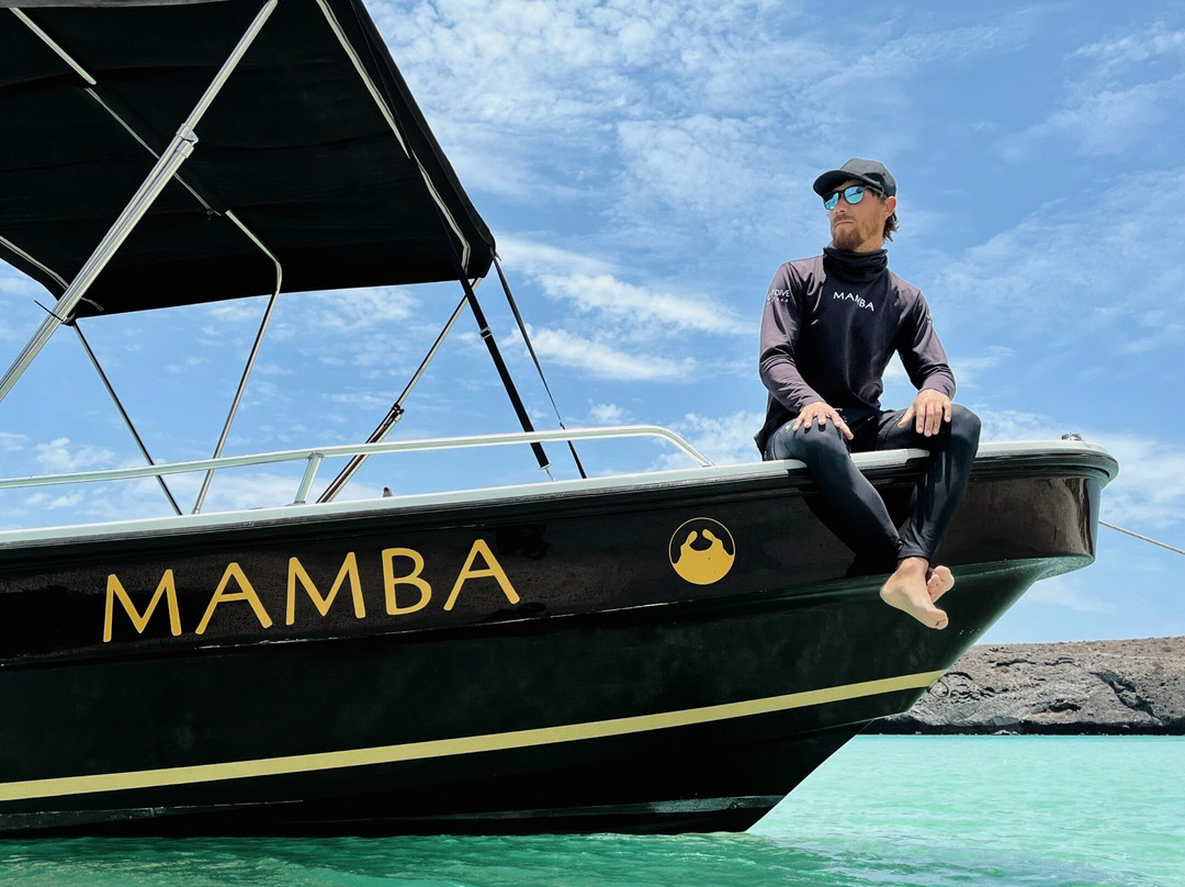 UP Dive-拉巴斯必去景点