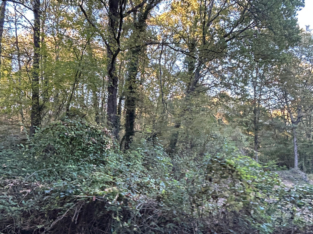 La Fageda d'en Jorda-Santa Pau必去景点