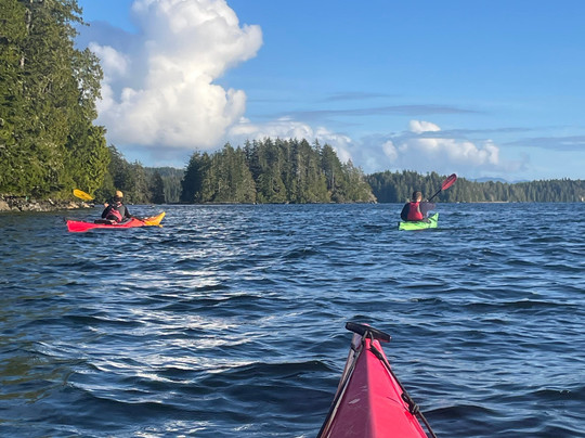Paddle West Kayaking-托菲诺必去景点