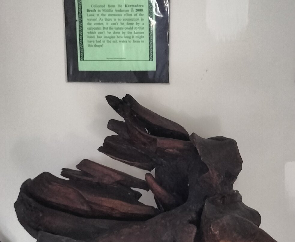 Bay Island Driftwood Museum-科塔亚姆必去景点