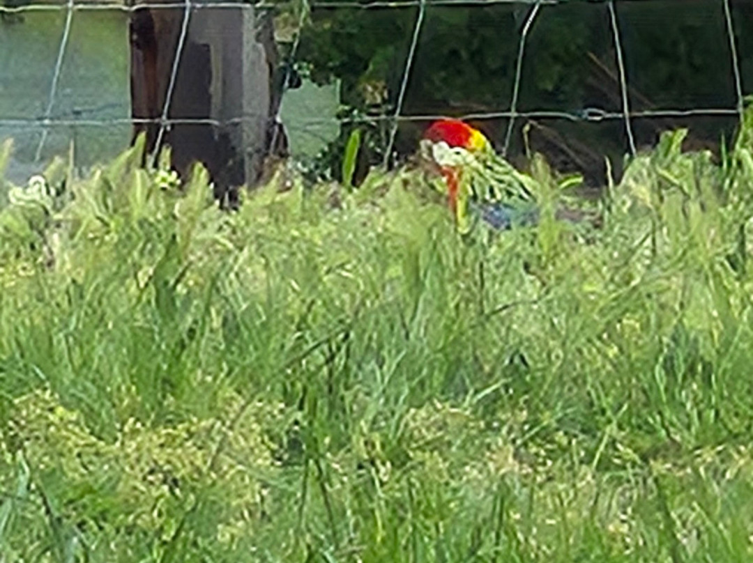 里士满哈克斯庄园酒店主图