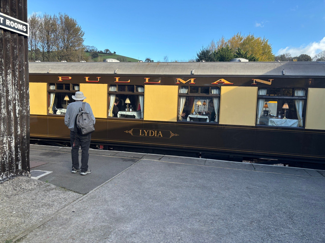 South Devon Railway-Buckfastleigh必去景点