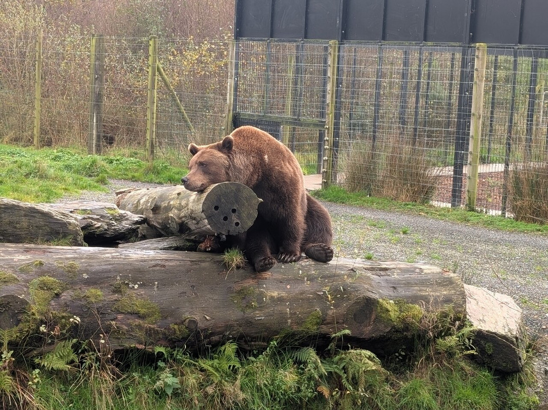 Wild Ireland-Burnfoot必去景点