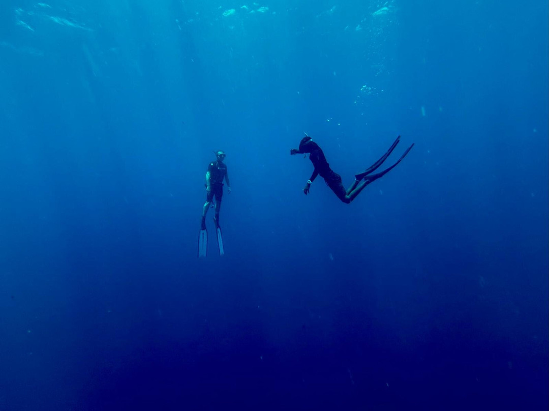 Blue Water Freediving School-伦敦必去景点