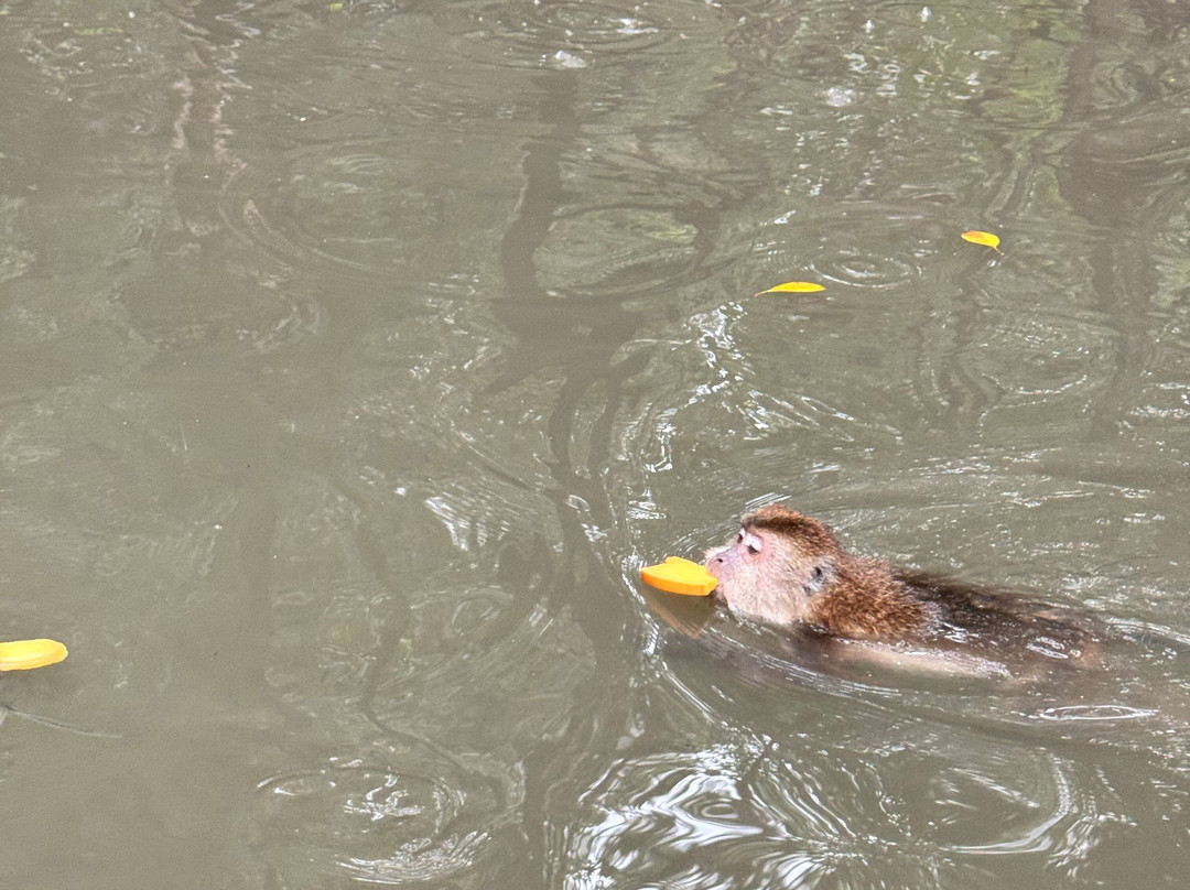 Russian Guide in Langkawi-兰卡威必去景点