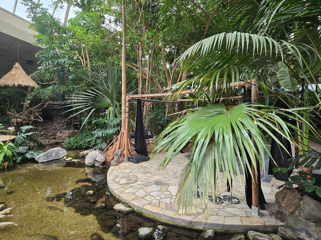 Center Parcs Het Meerdal主图