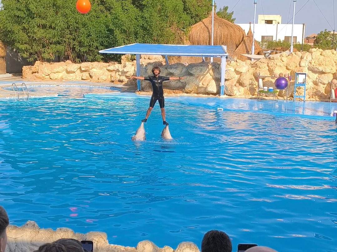 Brothers Safari Excursions-沙姆沙伊赫必去景点