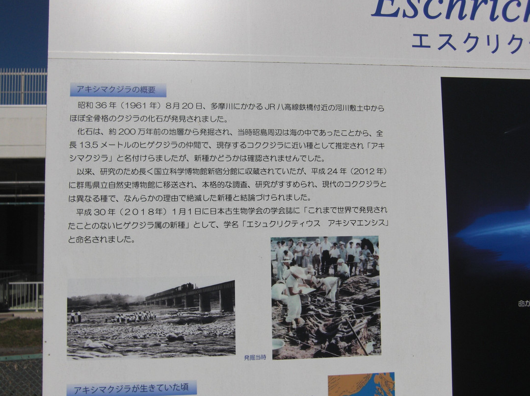 Akishimakujira de Tochi-昭岛市必去景点